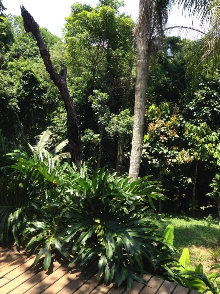 Pousada Rainforest House - Ilha Grande エクステリア 写真