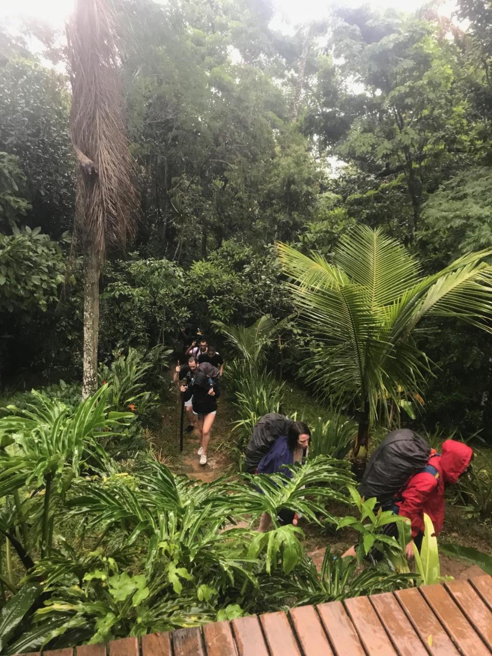 Pousada Rainforest House - Ilha Grande エクステリア 写真