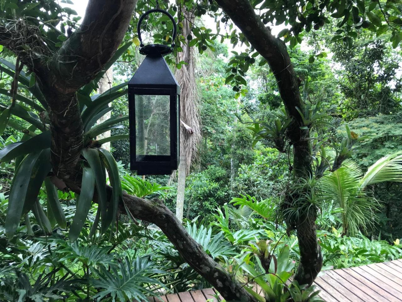 Pousada Rainforest House - Ilha Grande エクステリア 写真