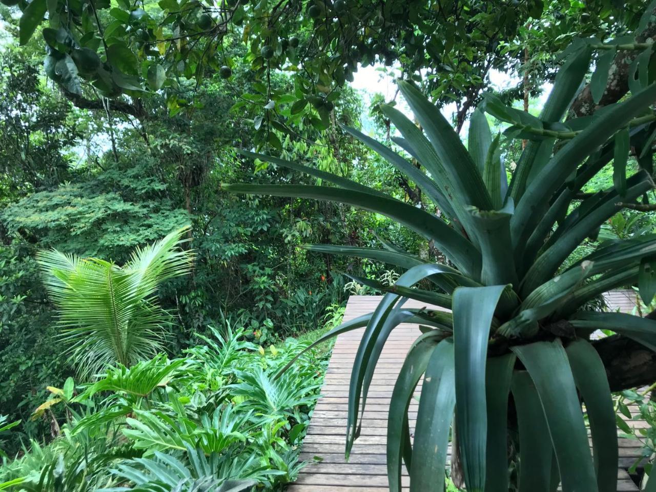 Pousada Rainforest House - Ilha Grande エクステリア 写真