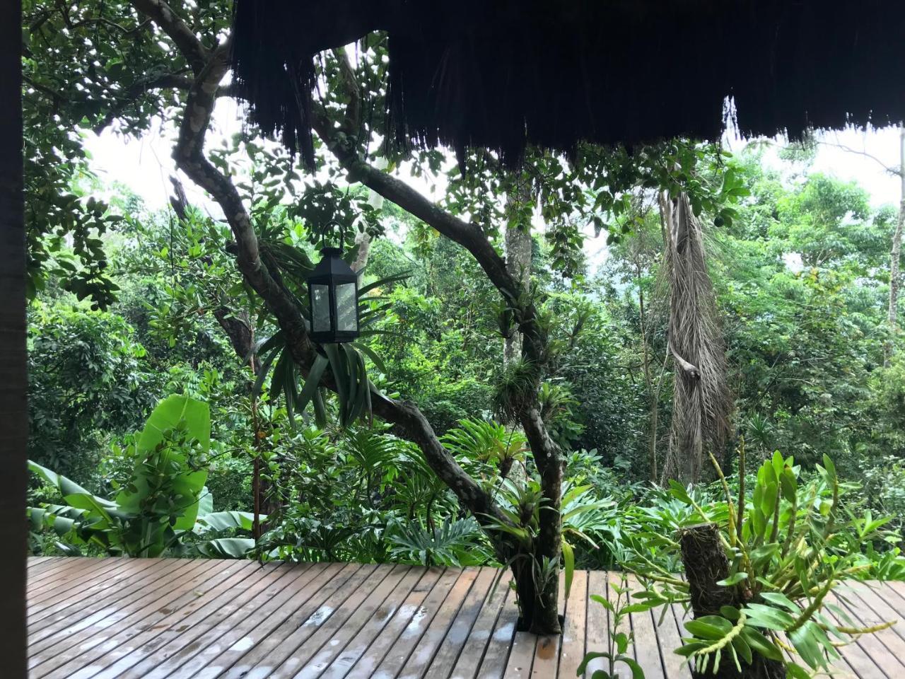 Pousada Rainforest House - Ilha Grande エクステリア 写真