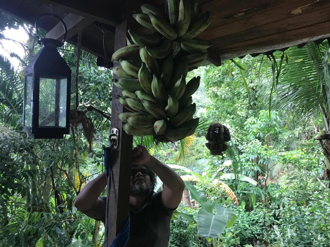 Pousada Rainforest House - Ilha Grande エクステリア 写真